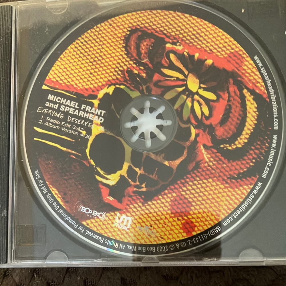 Michael frant and spearhead everyone deserves music promo cd